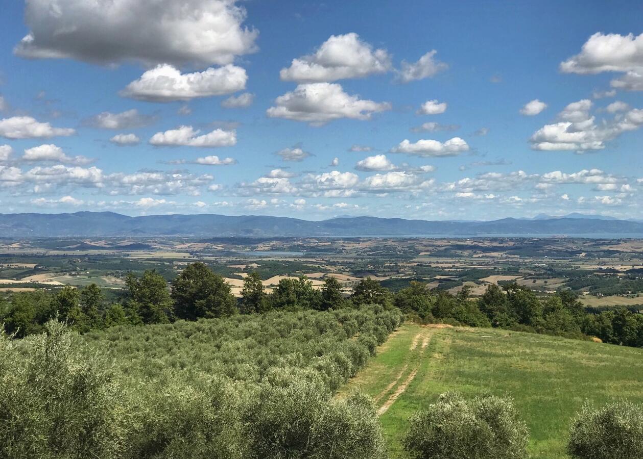 사르티아노 Borgo Poggio Bianco 빌라 외부 사진